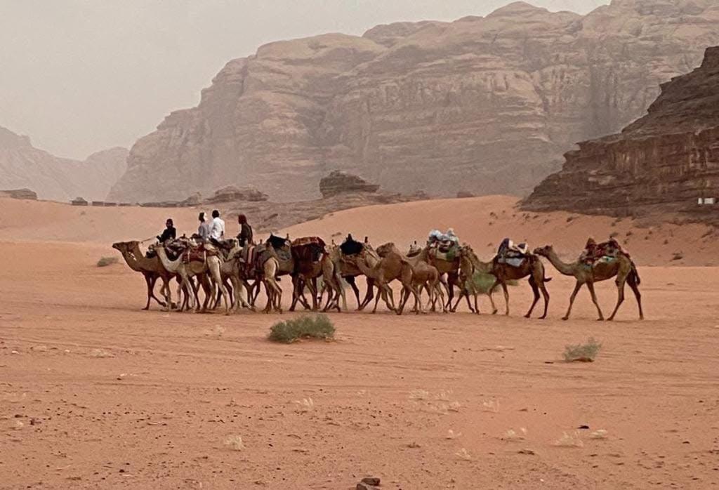 Wadi Rum Trail المظهر الخارجي الصورة